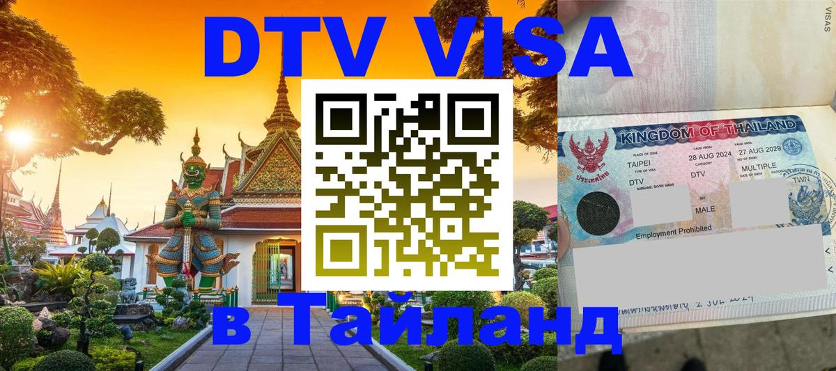 Оформление DTV визы под ключ: стоимость и тарифы, только загранпаспорт - Владимир  18.11.2025 